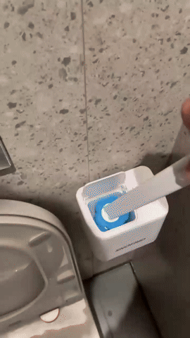 Mess-Free Toilet Cleaner