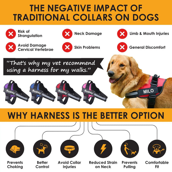 Custom Fit Dog Harness